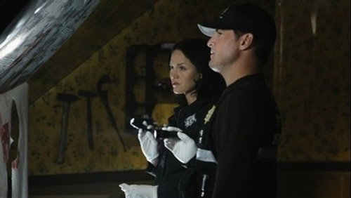 CSI: Investigação Criminal: 11×22