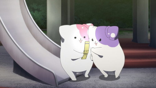 Kinokoinu Mushroom Pup: 1×7