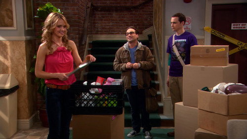 Big Bang: A Teoria: 2×19