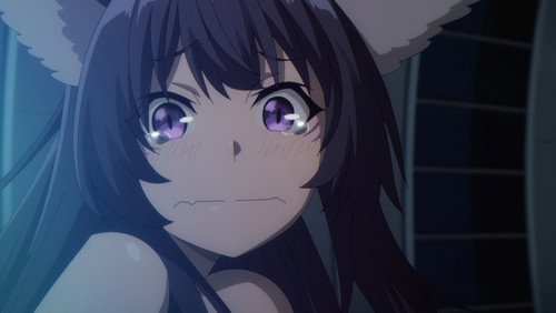 Kage no Jitsuryokusha ni Naritakute! – Episódio 13