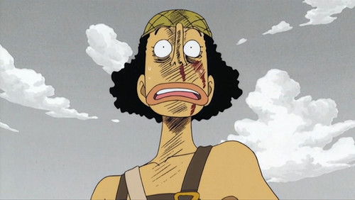 One Piece Dublado – Episódio 33