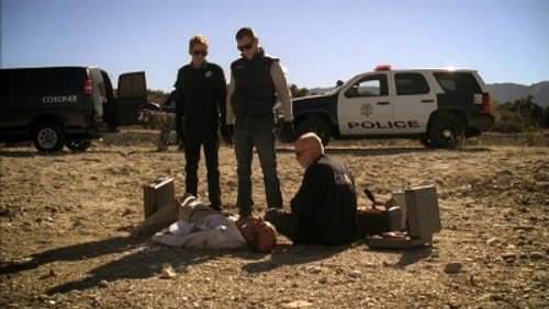 CSI: Investigação Criminal: 11×12