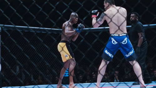 Anderson Spider Silva: 1×4