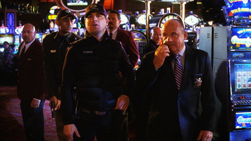 CSI: Investigação Criminal: 12×19
