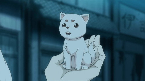 Gintama: 11×6