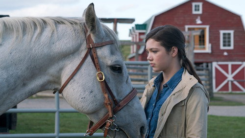 Heartland: 9×12