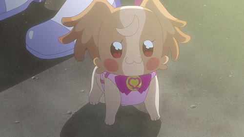Wonderful Precure!: 1×47