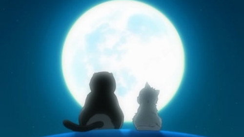 Gintama: 4×41