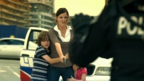Flashpoint: 2×17