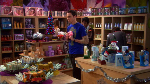 Big Bang: A Teoria: 2×11