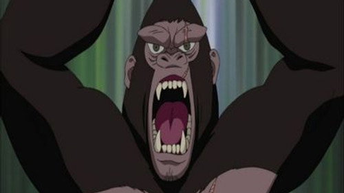Naruto Shippuden: 12×243