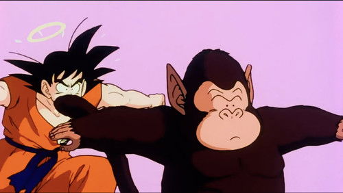 Dragon Ball Z (Selecta Vision) – Episódio 19