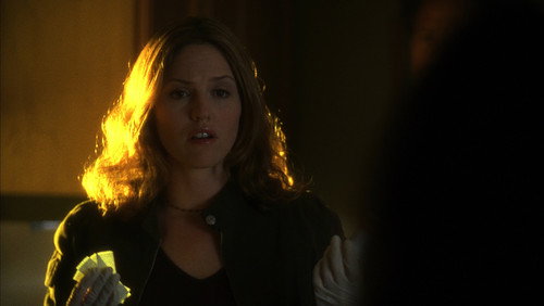 CSI: Investigação Criminal: 3×21