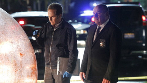 CSI: Investigação Criminal: 14×8
