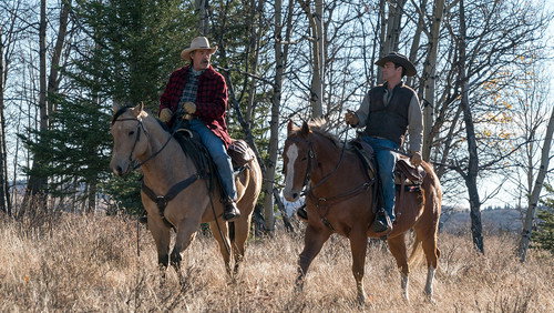 Heartland: 11×16