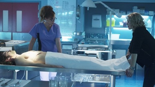 Motive: 2×6