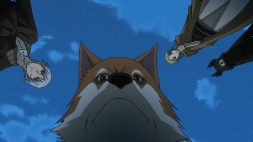 Spice and Wolf: 1×12
