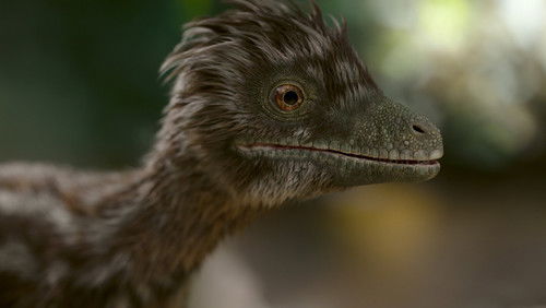 Os Dinossauros: 1×1