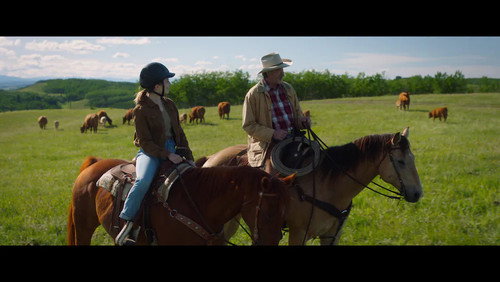 Heartland: 16×2