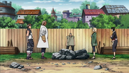 Naruto Shippuden: 13×286