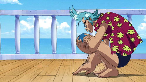 One Piece – Episódio 324