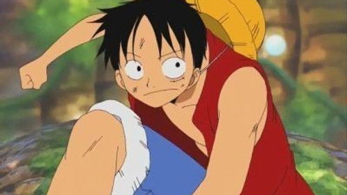 One Piece – Episódio 161