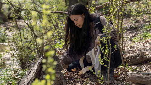 The Walking Dead: 11×3