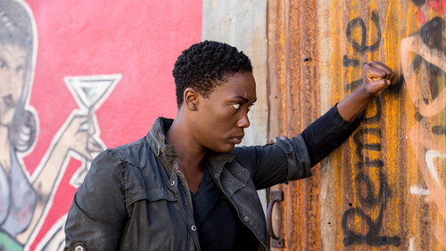 Colony: 2×3