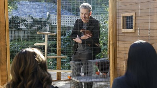 CSI: Vegas: 3×6