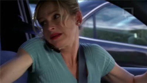 Divisão Criminal: 2×11