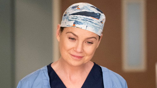 Grey’s Anatomy: 14×13