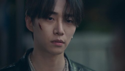 Typhoon Family: 1×1