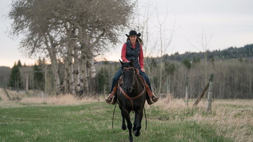 Heartland: 11×1