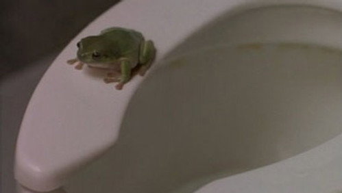 Ally McBeal: Minha Vida de Solteira: 2×5