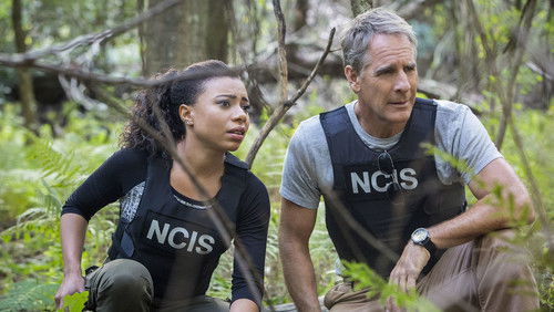 NCIS: Nova Orleans: 2×8