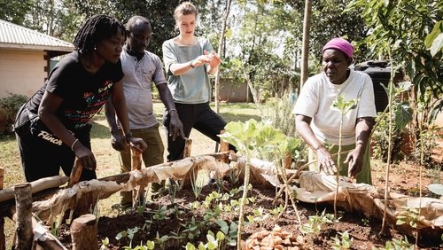 A Agricultura do Futuro: 1×6