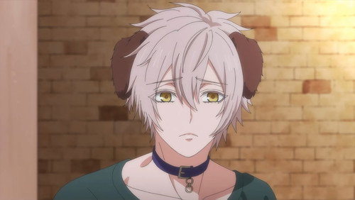 Mori no Kuma-san, Toumin-chuu. – Episódio 4