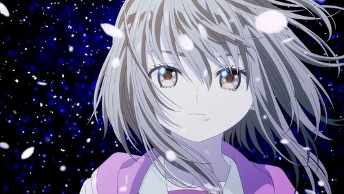 Momentary Lily: 1×11