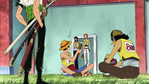One Piece – Episódio 213