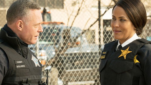 Chicago P.D.: Distrito 21: 8×12