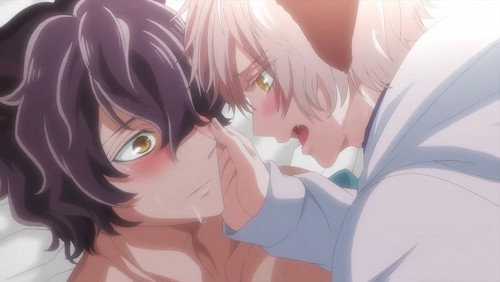 Mori no Kuma-san, Toumin-chuu. – Episódio 1