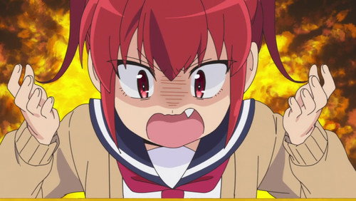 Yatogame-chan Kansatsu Nikki: 1×5