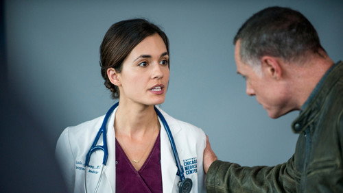 Chicago P.D.: Distrito 21: 3×10