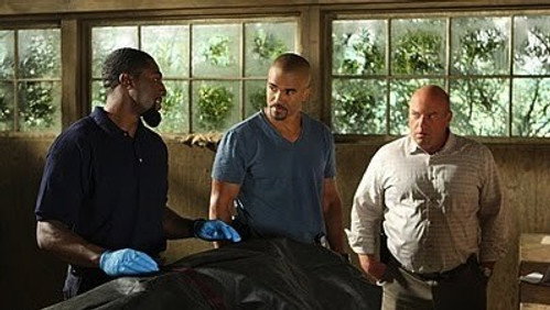 Mentes Criminosas: 5×20