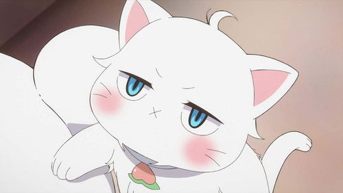 Atarashii Joushi wa Do Tennen – Episódio 5