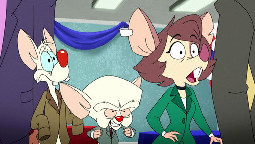 Animaniacs: 1×24