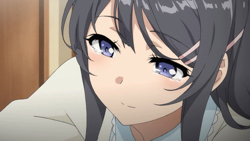 Rascal Does Not Dream of Bunny Girl Senpai(Seishun Buta Yarou wa Bunny Girl): 1×3