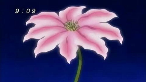 Zatch Bell!: 1×19
