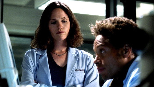CSI: Investigação Criminal: 2×3