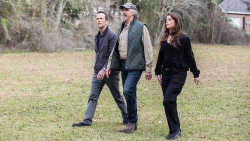 NCIS: Nova Orleans: 5×17